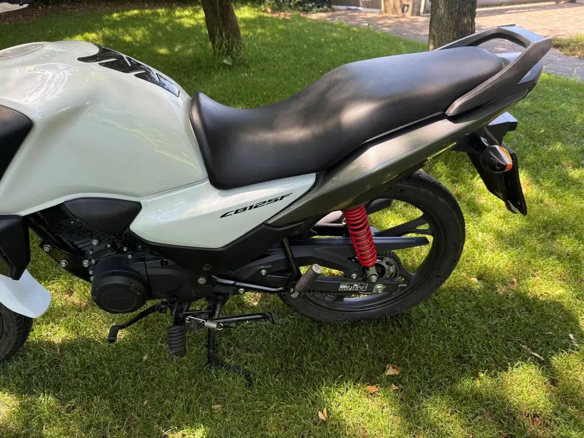 Honda CB 125 F (2021 - 25) (9)