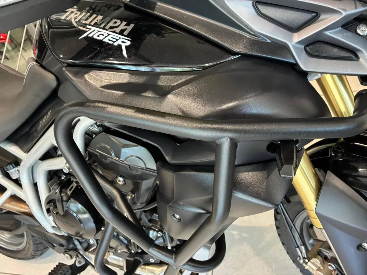 Triumph Tiger 800 (2010 - 14) (5)