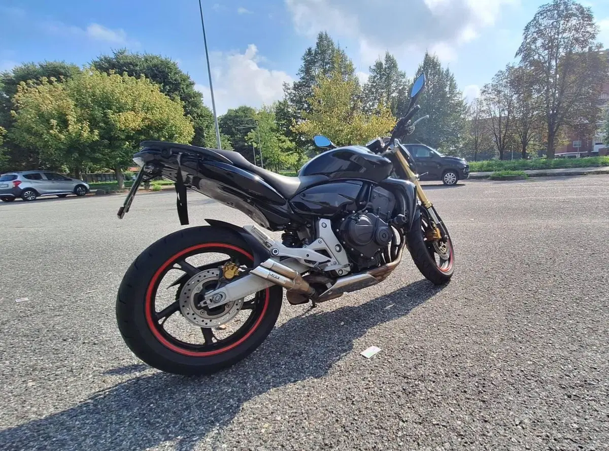 Honda Hornet 600 (2007 - 10) (2)