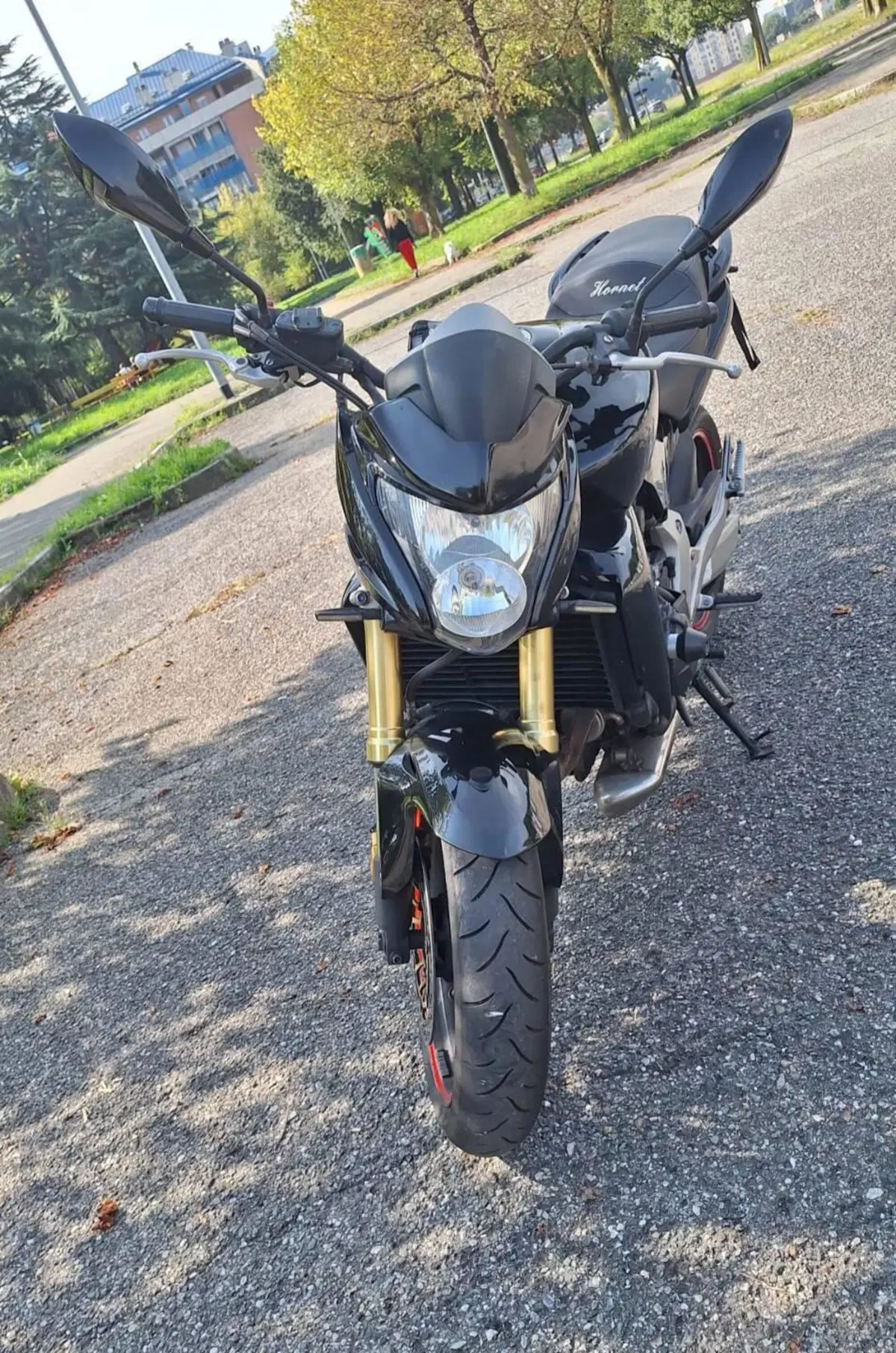 Honda Hornet 600 (2007 - 10) (6)