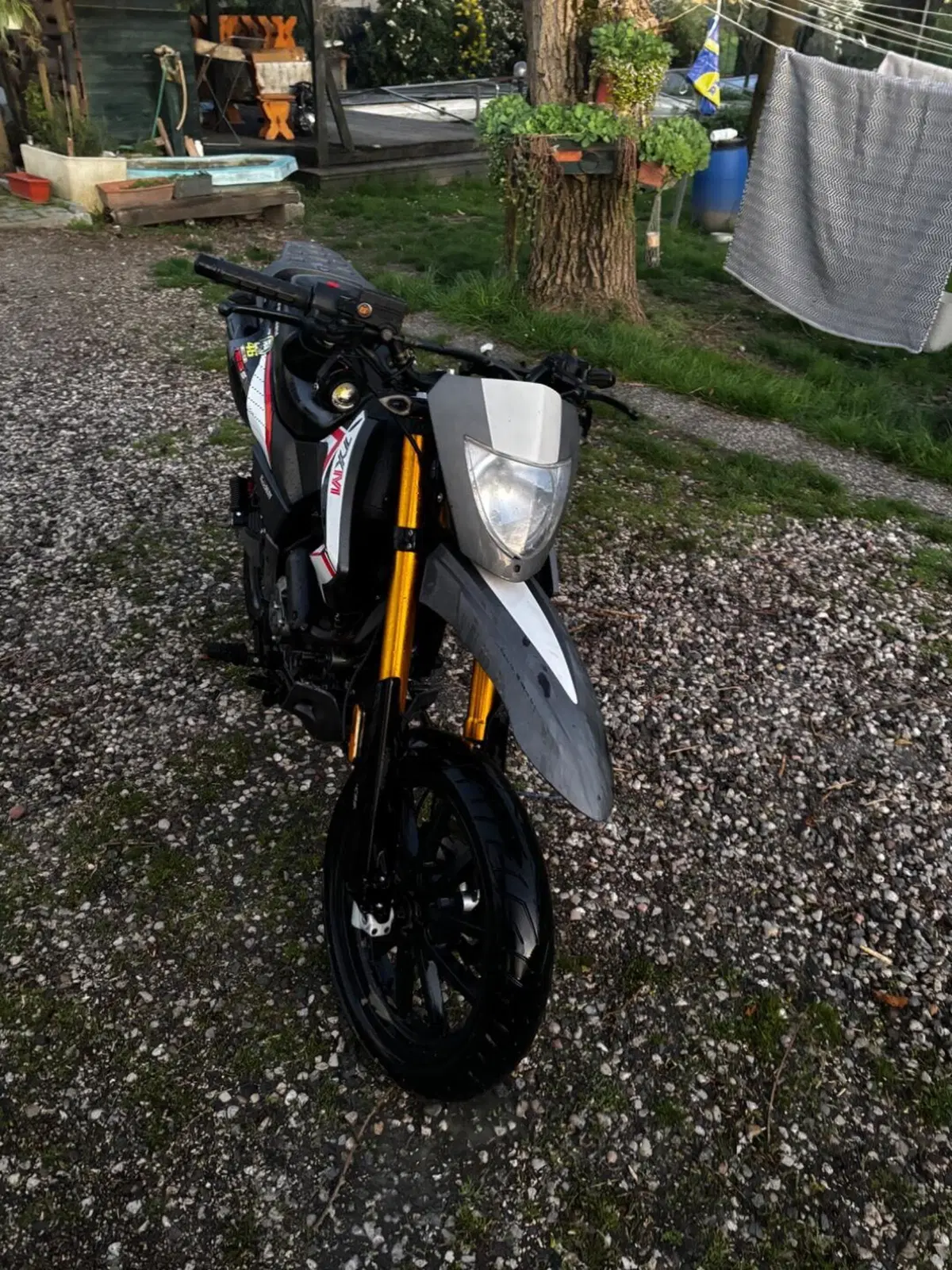 Keeway Motor TX 125 Motard (2017 - 20) (5)