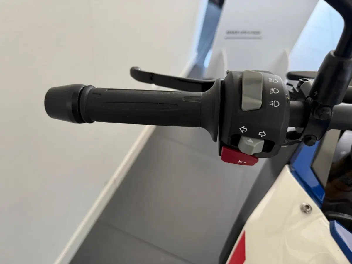 Bmw G 310 GS (2021 - 25) (3)