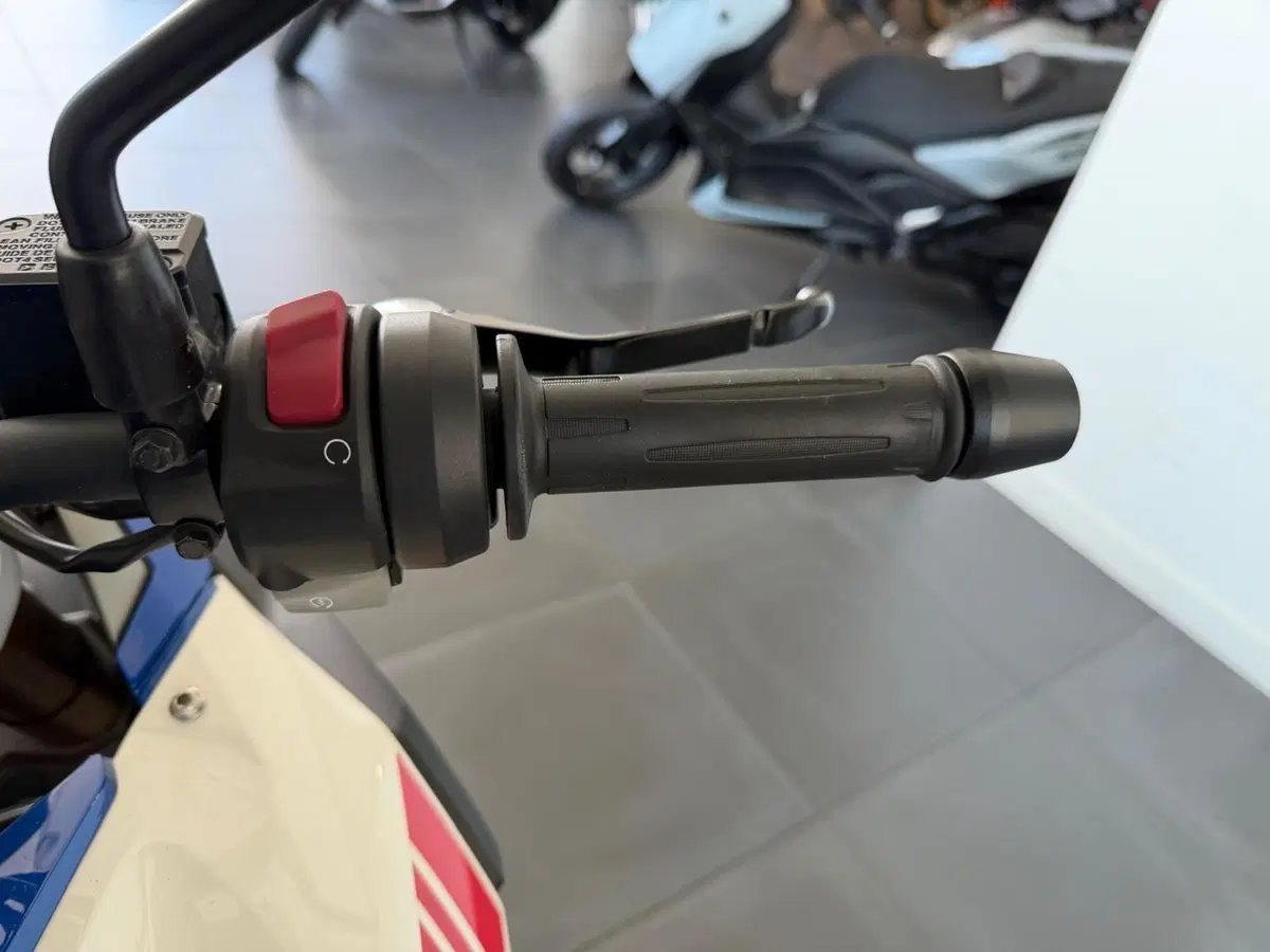 Bmw G 310 GS (2021 - 25) (6)