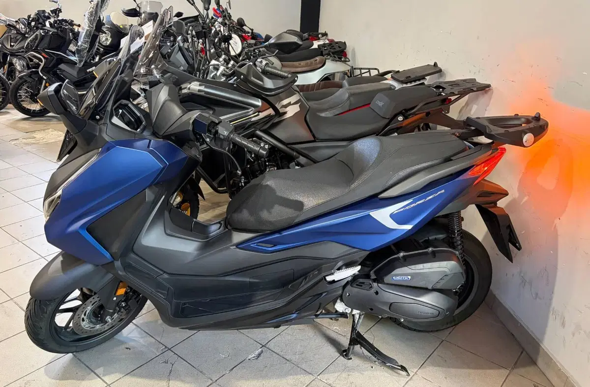 Honda Forza 125 (2025 - 26)