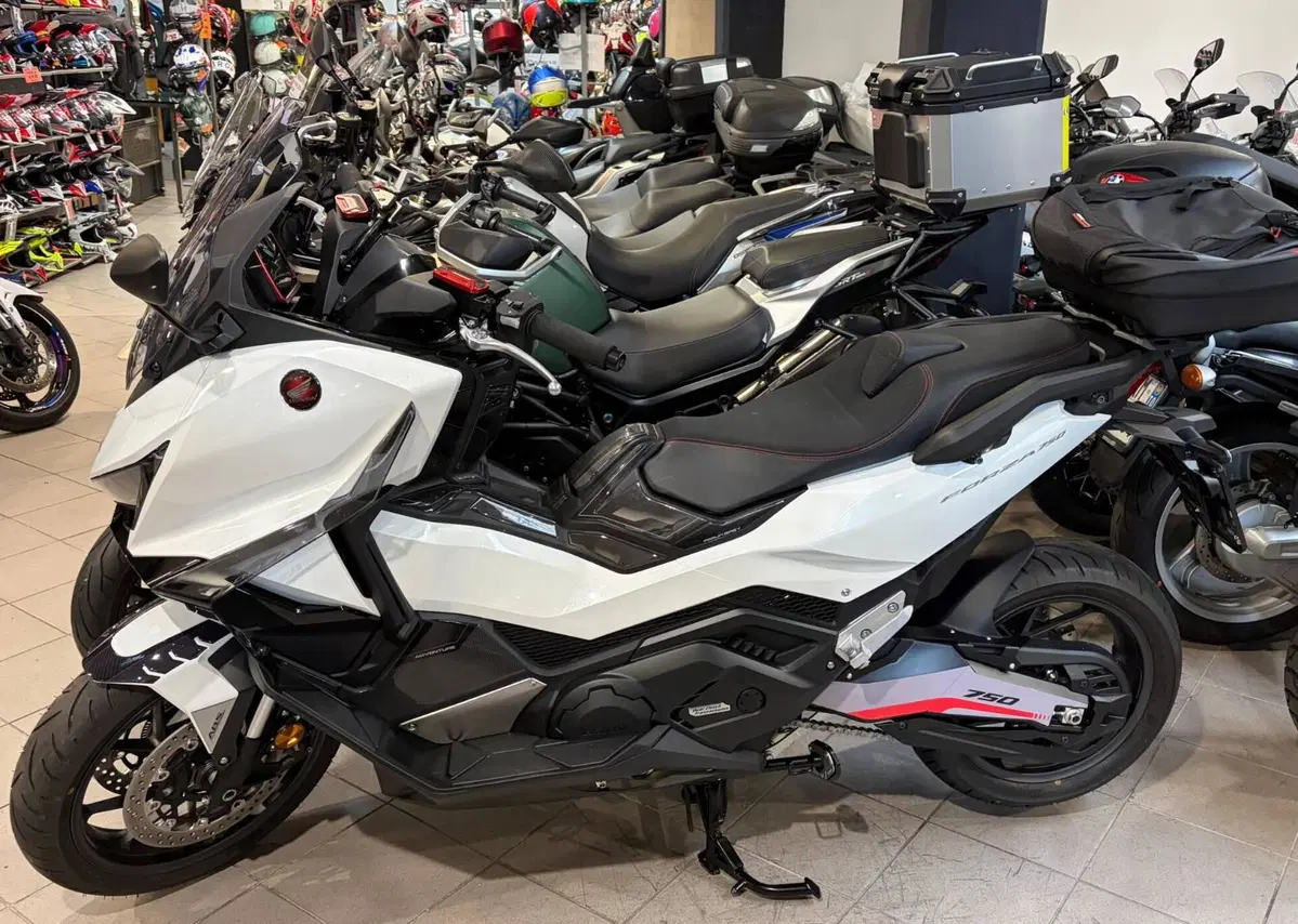 Honda Forza 750 (2025 - 26)