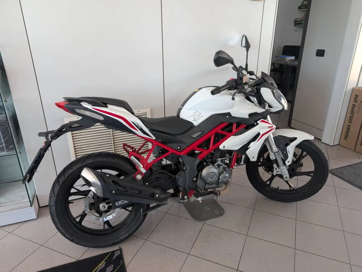 Benelli BN 125 (2018 - 20) (5)