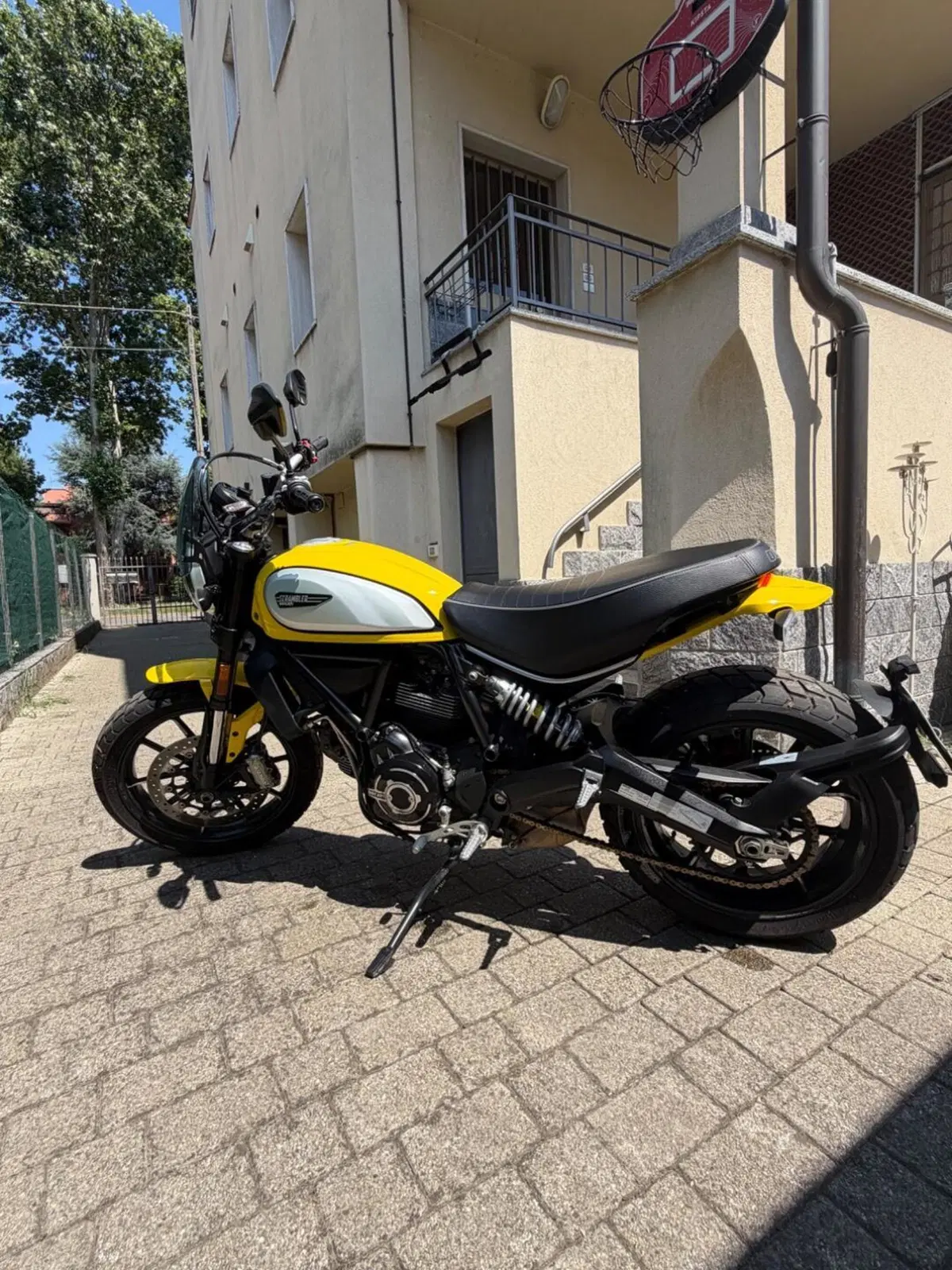 Ducati Scrambler 800 Icon (2017 - 20) (5)