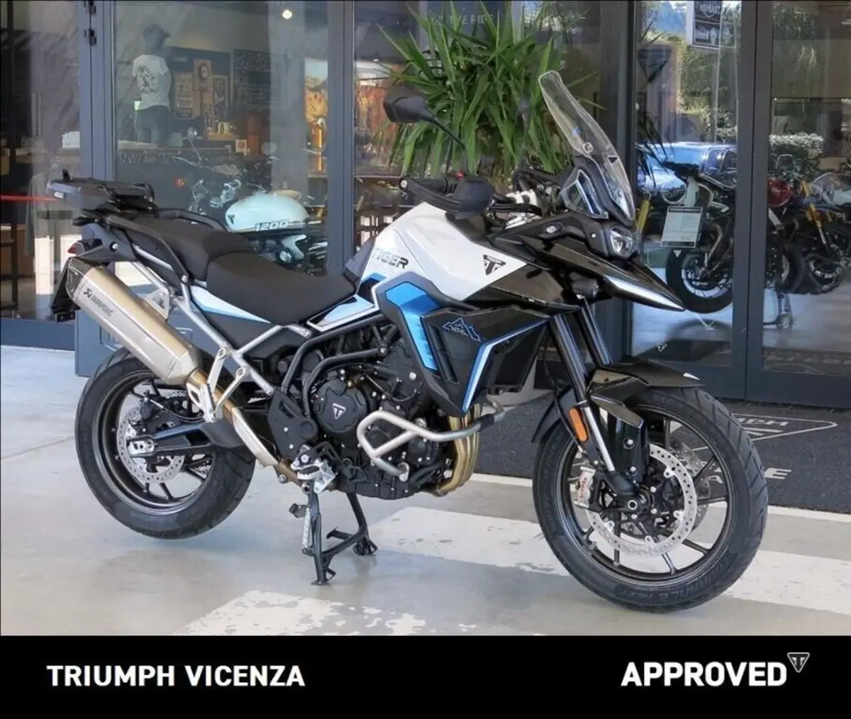 Triumph Tiger 900 Alpine Special Edition (2026) (3)