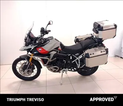 Triumph Tiger 900 Rally Pro (2024 - 26) usata