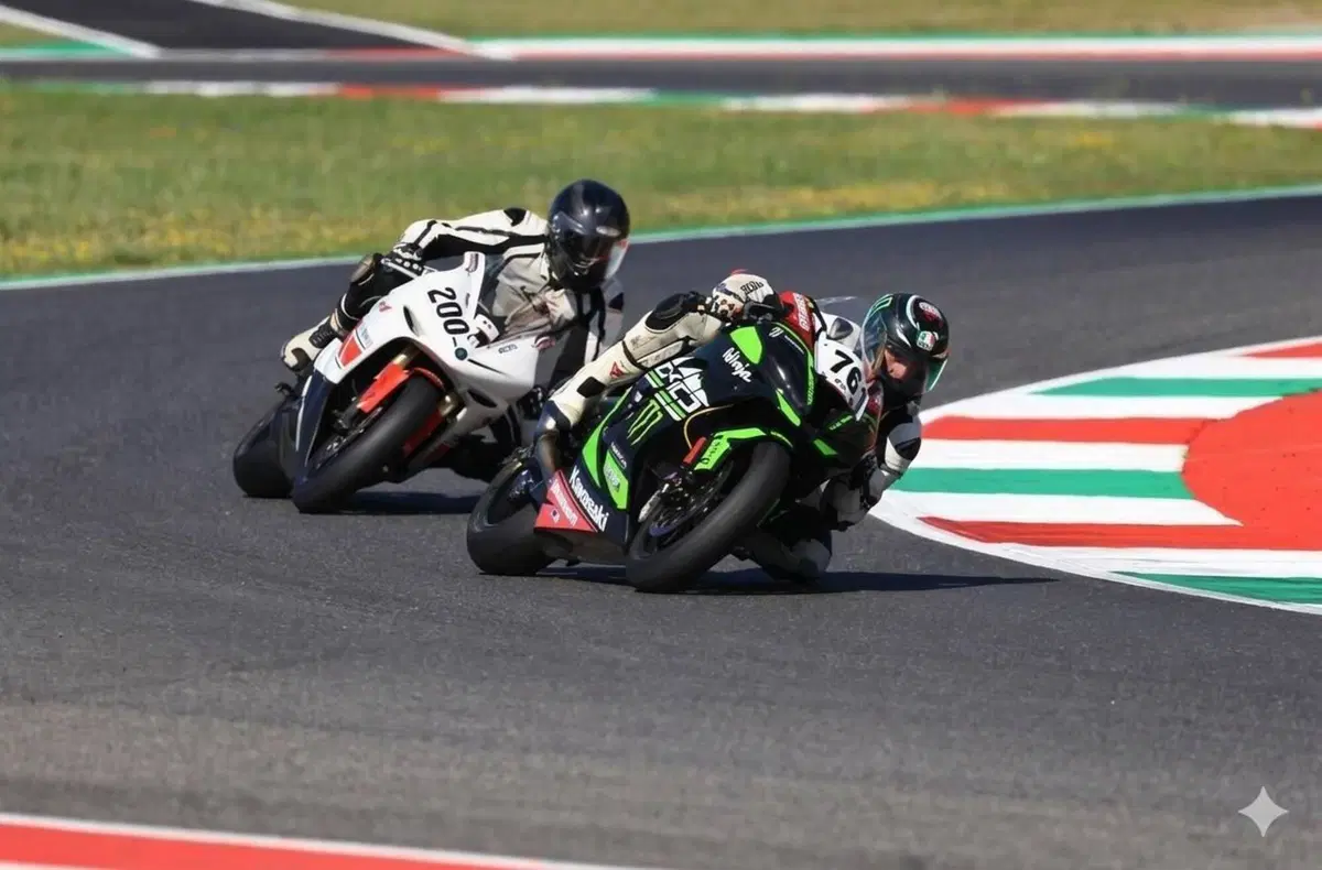 Kawasaki Ninja 1000 ZX-10R (2017 - 18) (5)