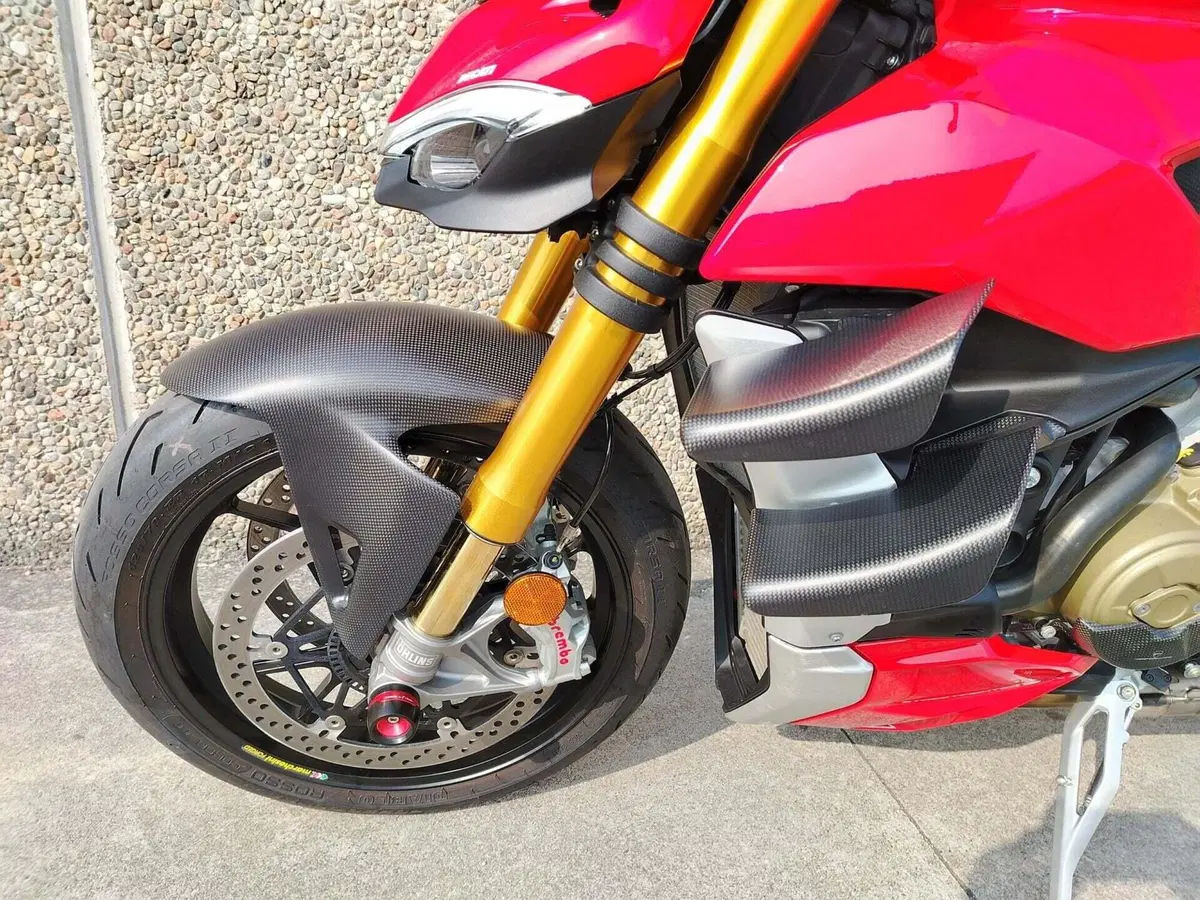 Ducati Streetfighter V4 1100 S (2021 - 22) (17)