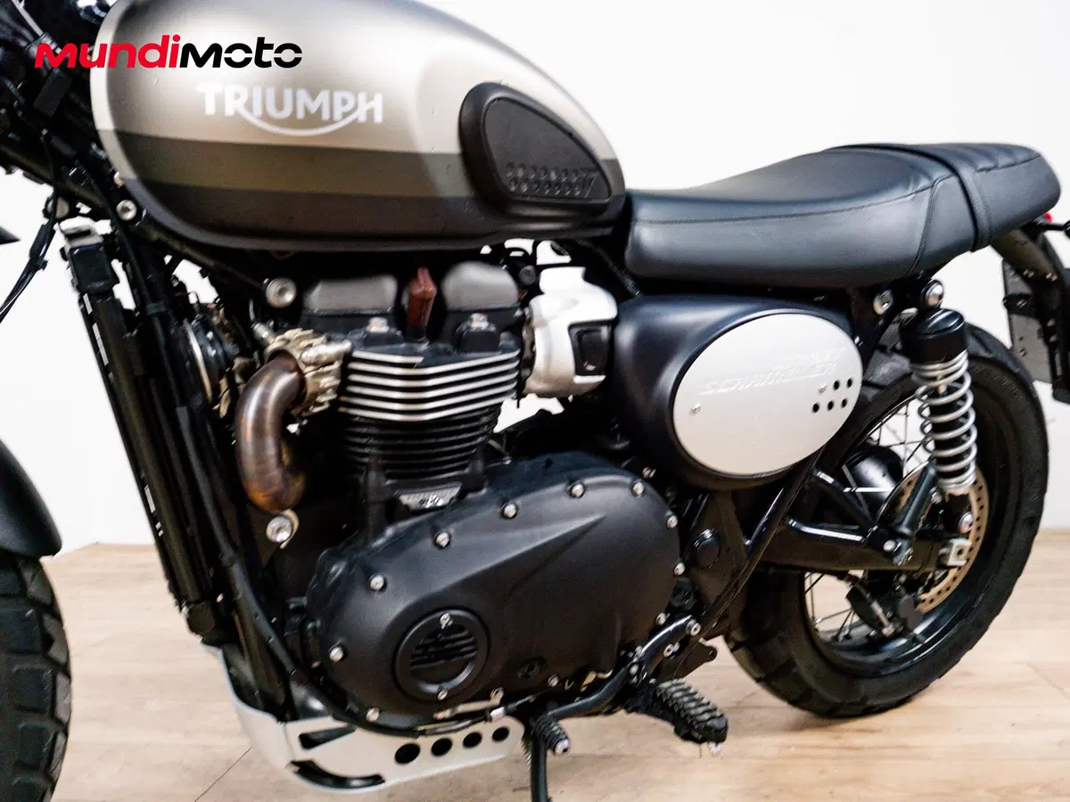 Triumph Street Scrambler 900 Sandstorm (2021 - 22) (7)