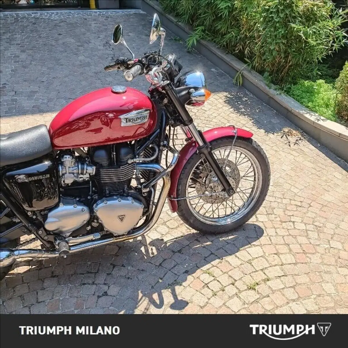 Triumph Bonneville (2007 - 16) (3)