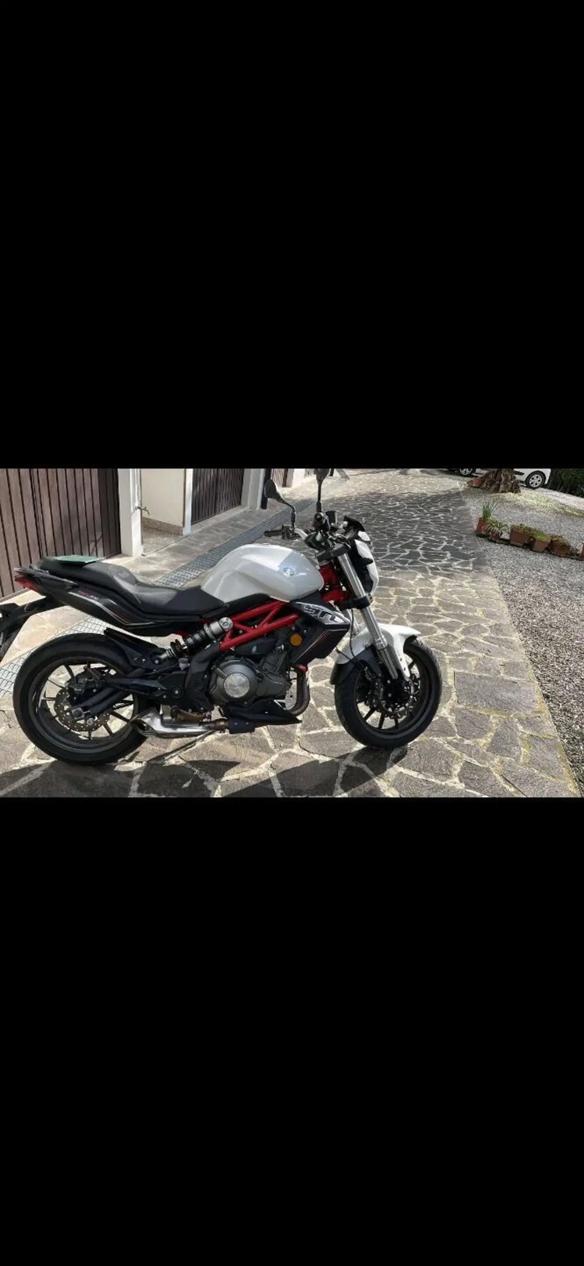 Benelli BN 302 (2017 - 19) (13)