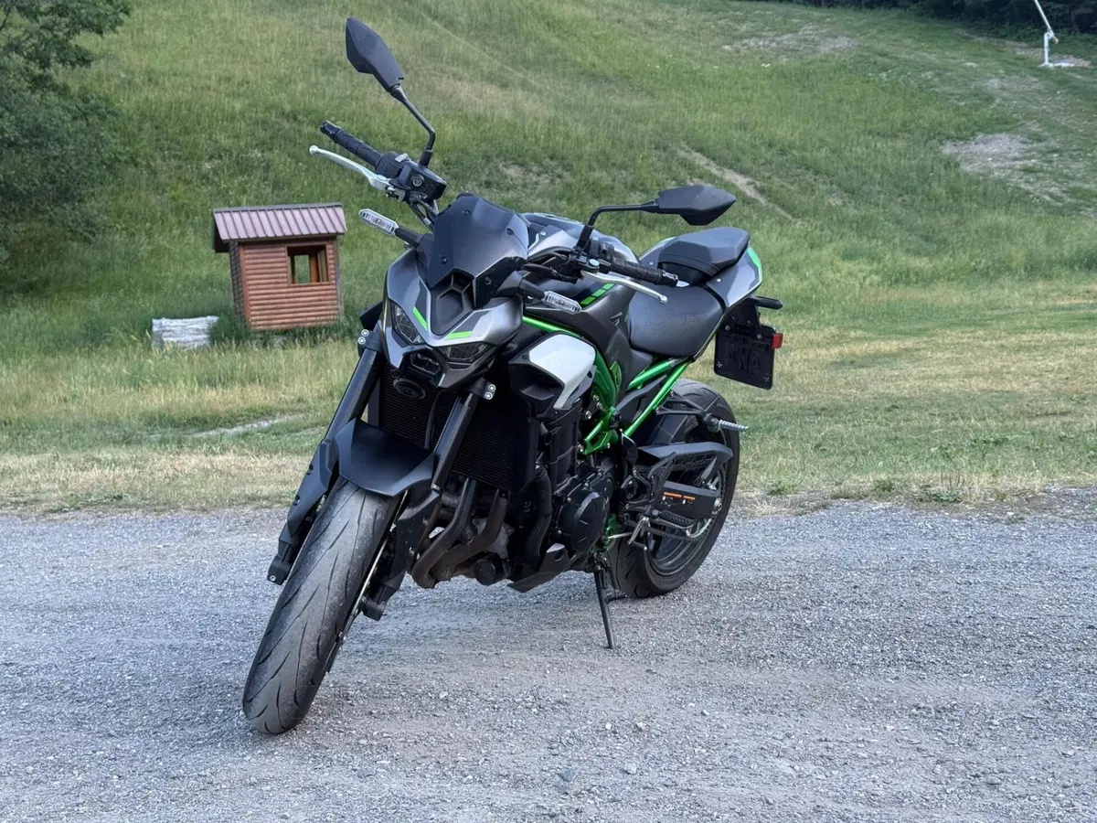 Kawasaki Z 900 A2 (2025 - 26) (4)
