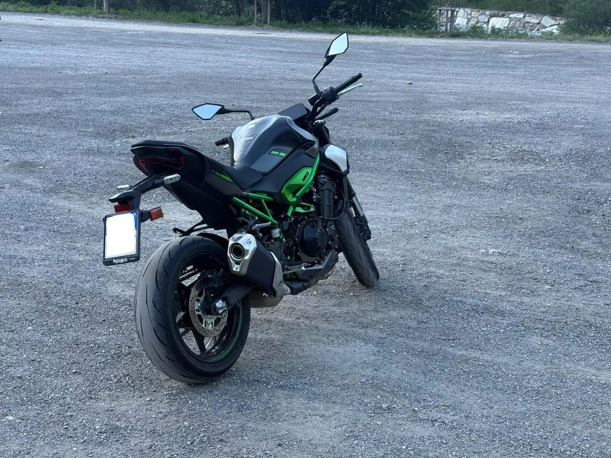 Kawasaki Z 900 A2 (2025 - 26) (6)