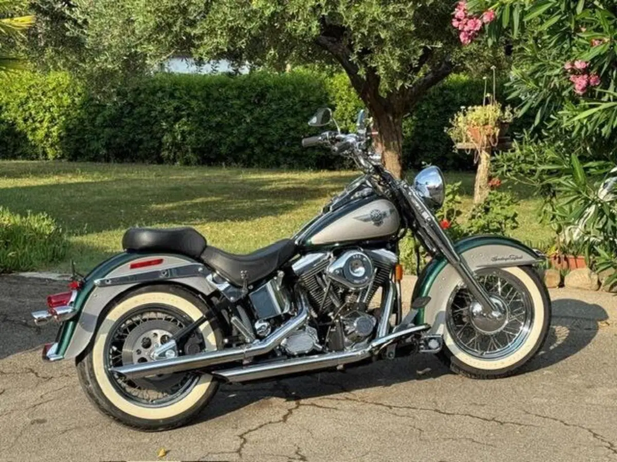 Harley-Davidson 1340 Heritage Special (1993 - 96) (3)