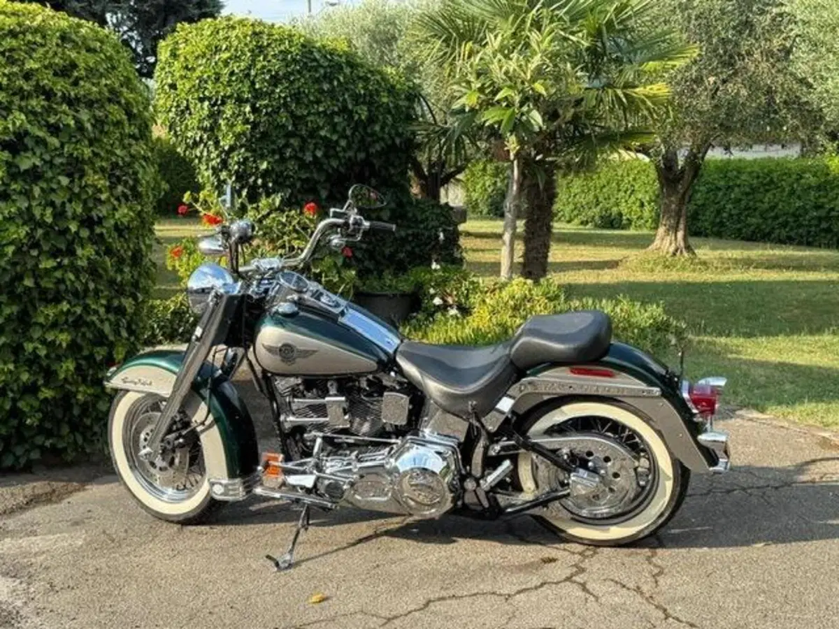 Harley-Davidson 1340 Heritage Special (1993 - 96) (2)