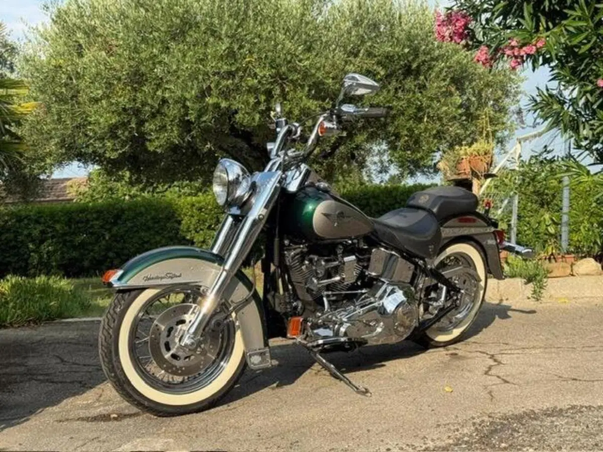 Harley-Davidson 1340 Heritage Special (1993 - 96) (5)