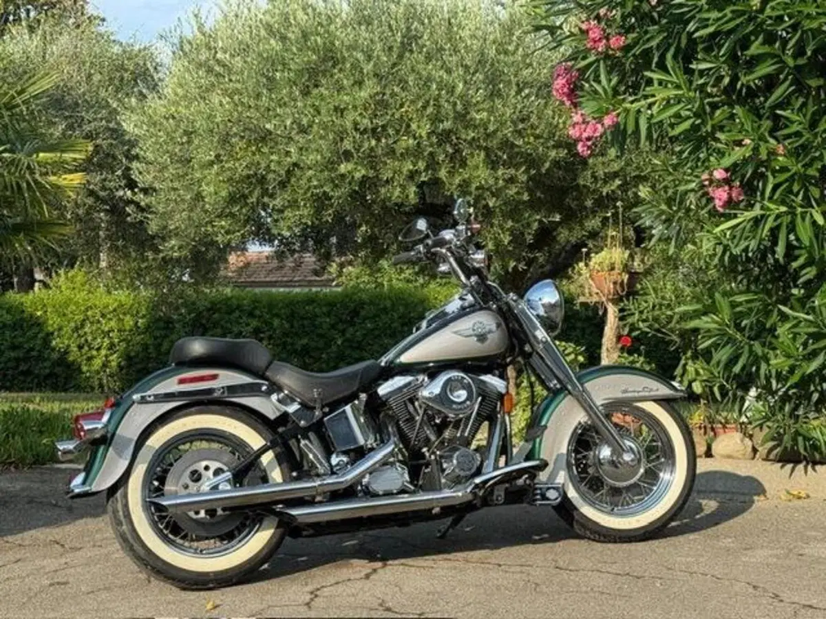 Harley-Davidson 1340 Heritage Special (1993 - 96) (7)