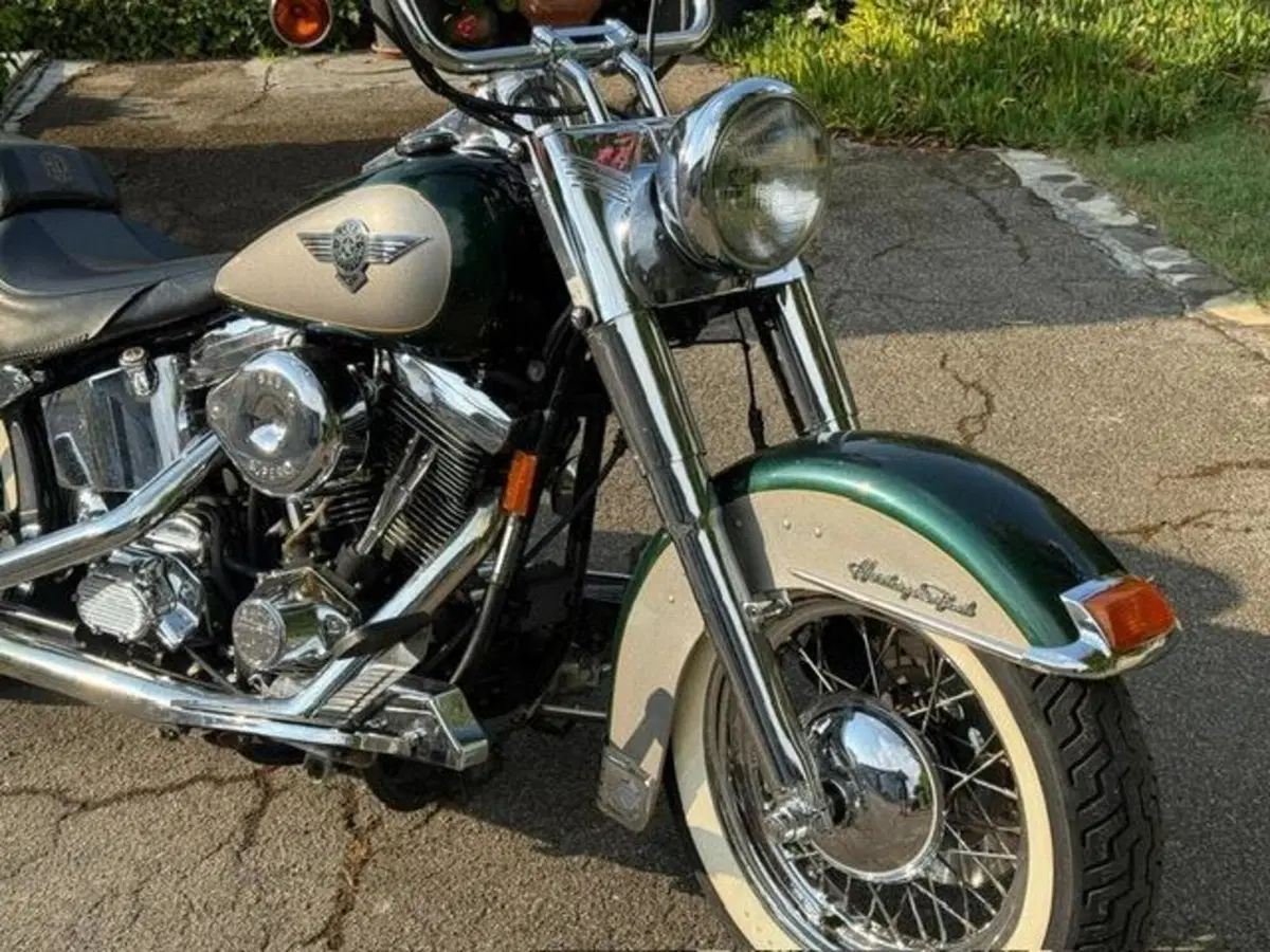 Harley-Davidson 1340 Heritage Special (1993 - 96) (8)