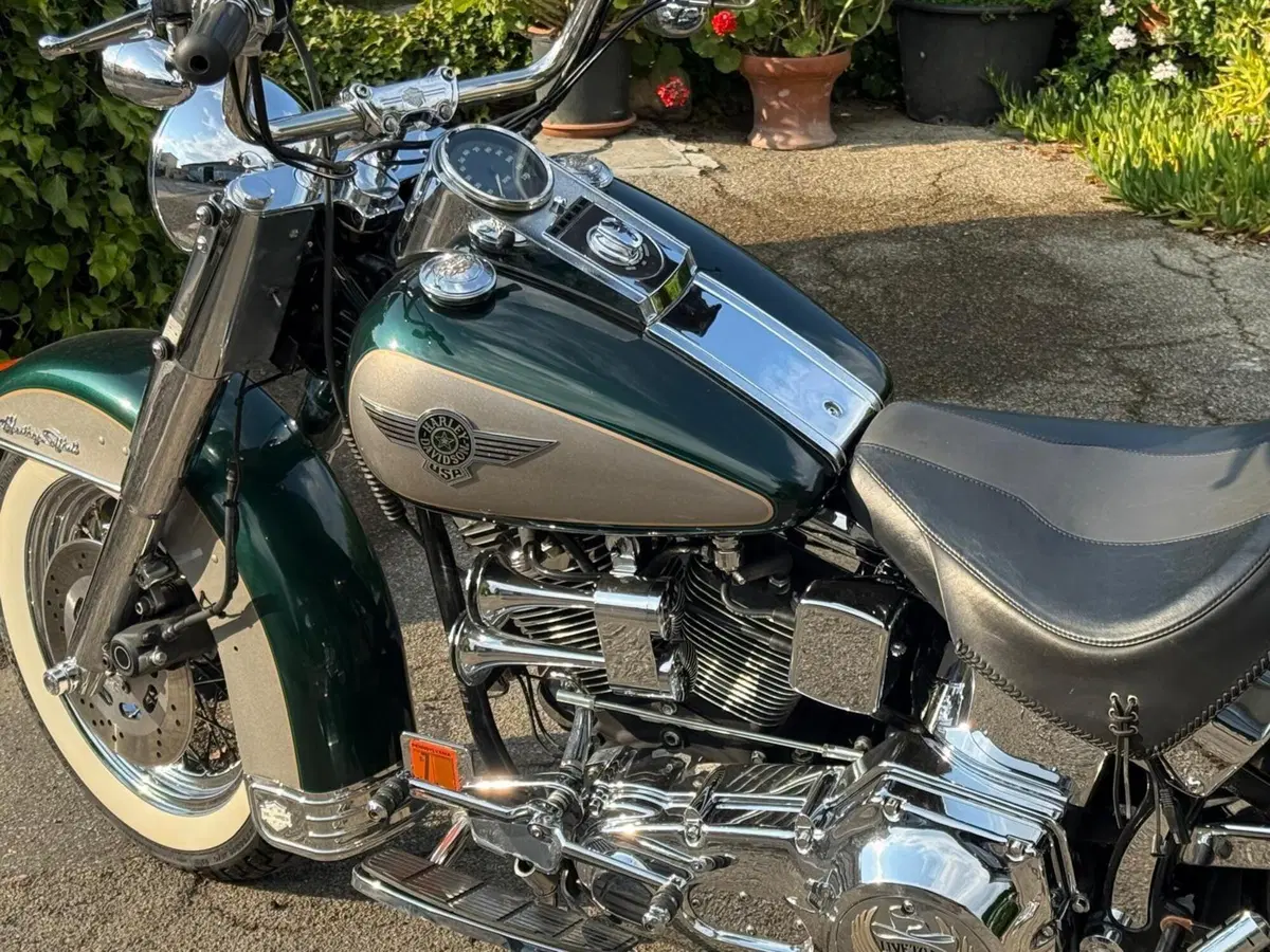 Harley-Davidson 1340 Heritage Special (1993 - 96) (9)