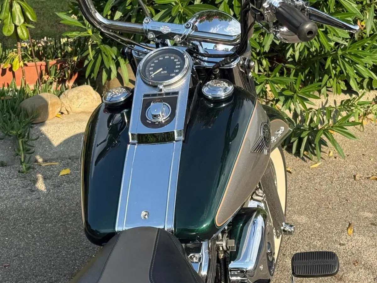 Harley-Davidson 1340 Heritage Special (1993 - 96) (10)