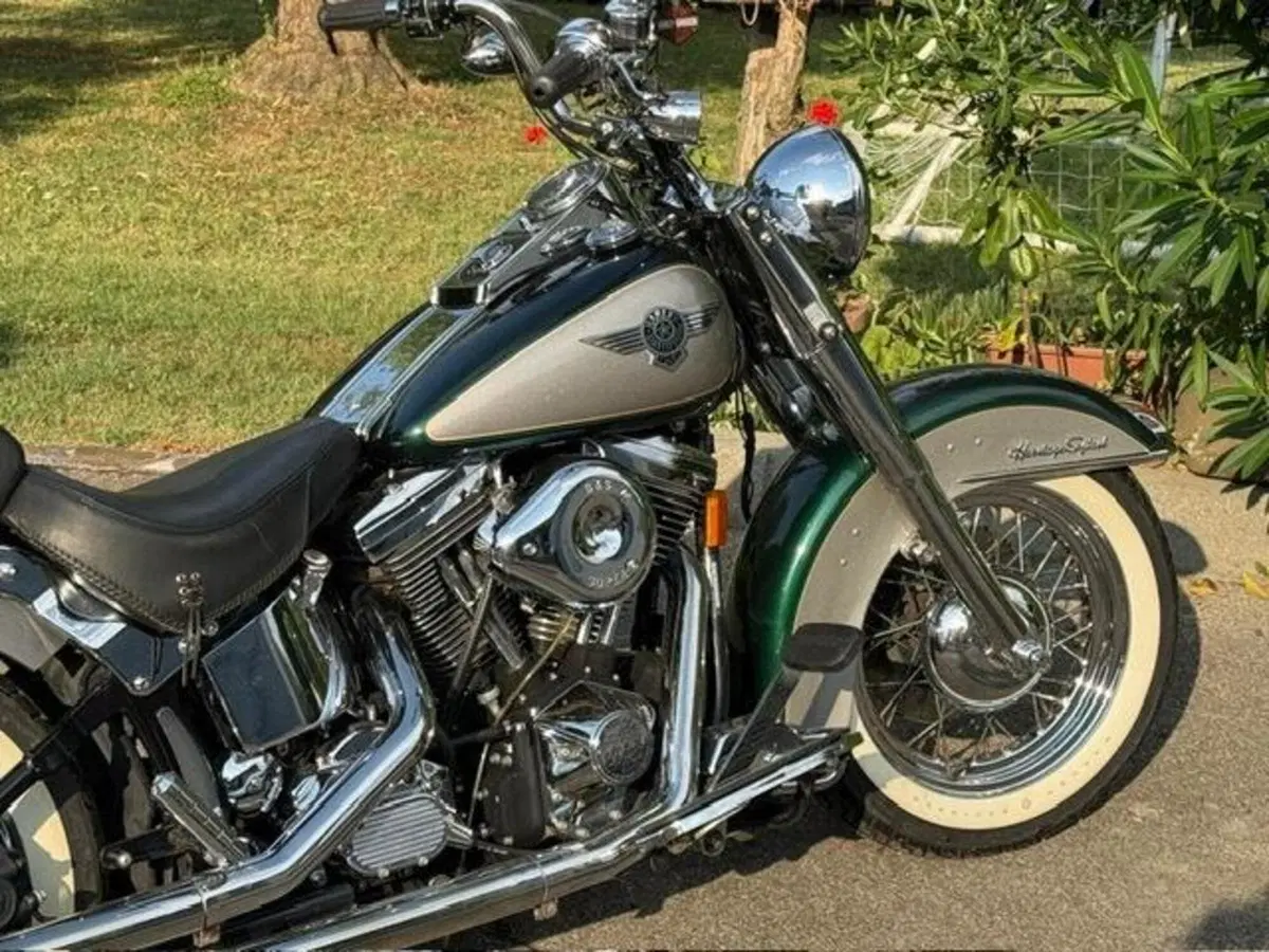 Harley-Davidson 1340 Heritage Special (1993 - 96) (12)