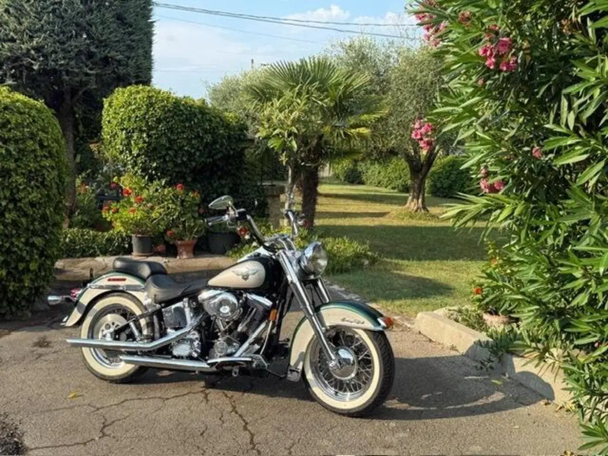 Harley-Davidson 1340 Heritage Special (1993 - 96) (13)