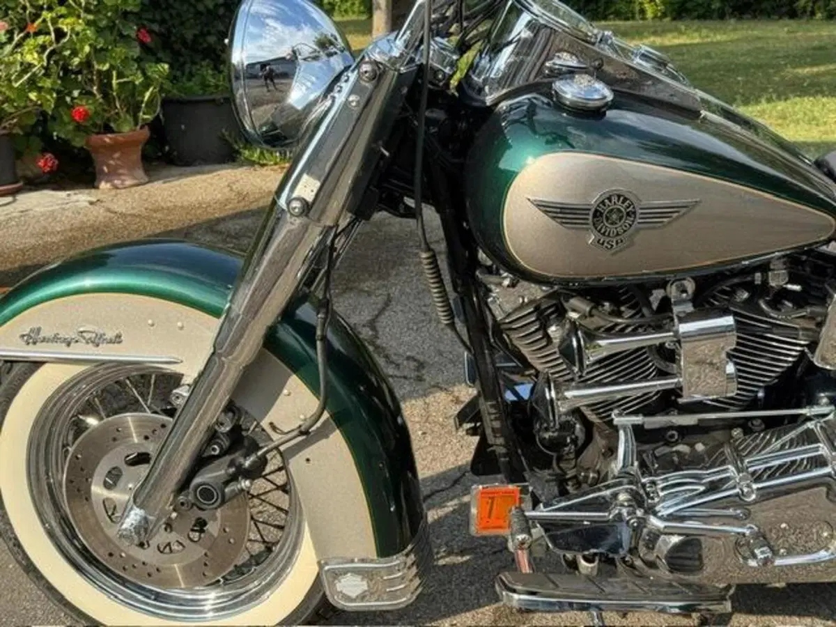 Harley-Davidson 1340 Heritage Special (1993 - 96) (14)