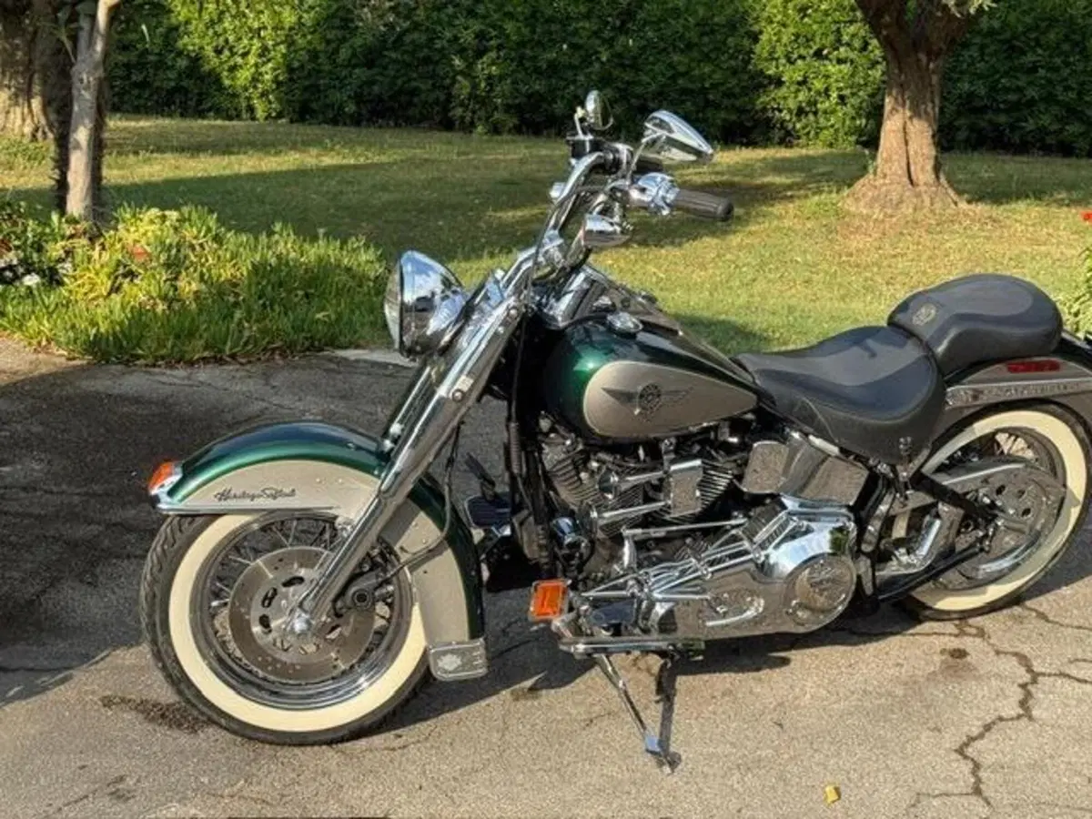 Harley-Davidson 1340 Heritage Special (1993 - 96) (15)