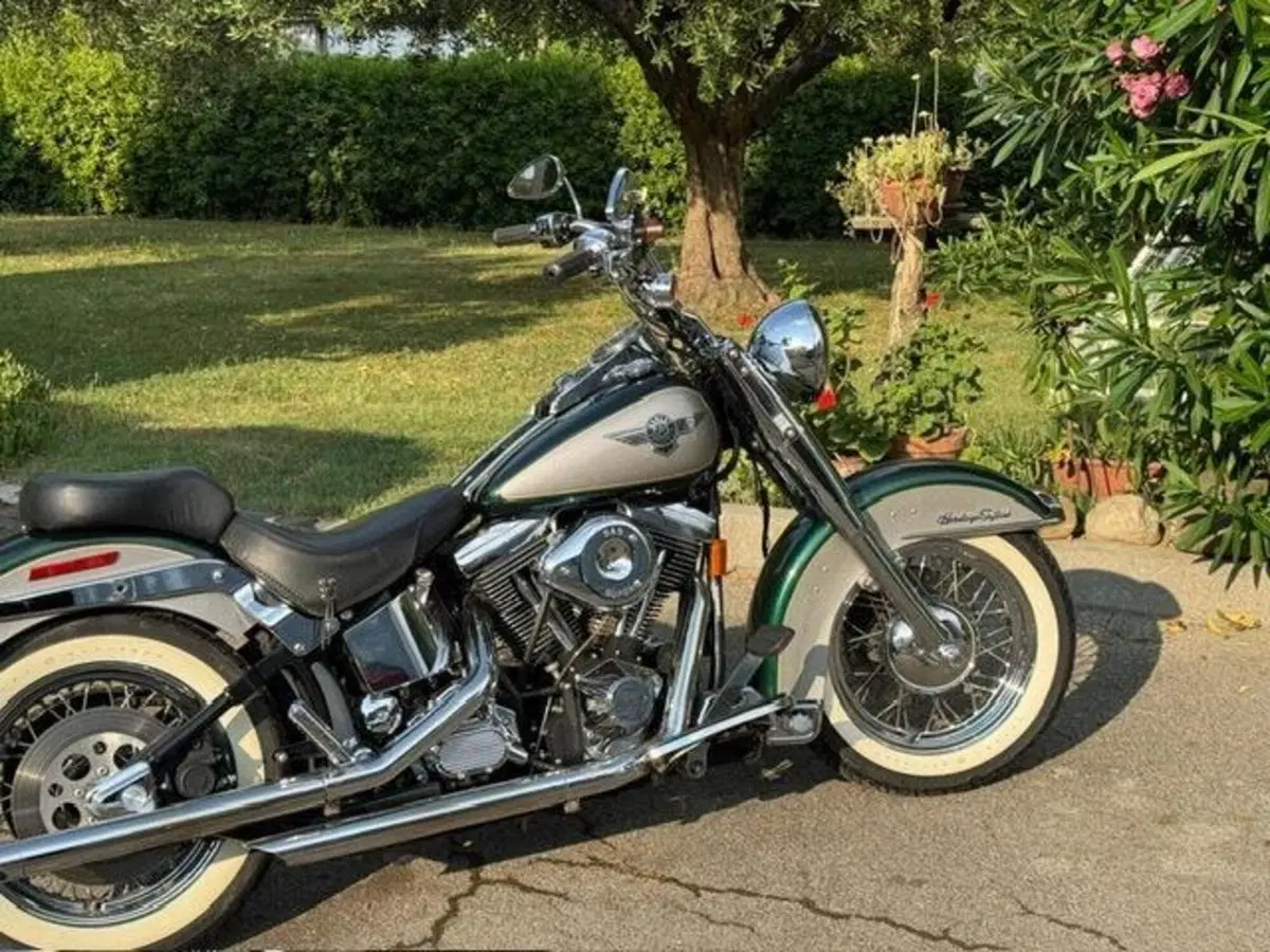 Harley-Davidson 1340 Heritage Special (1993 - 96) (16)