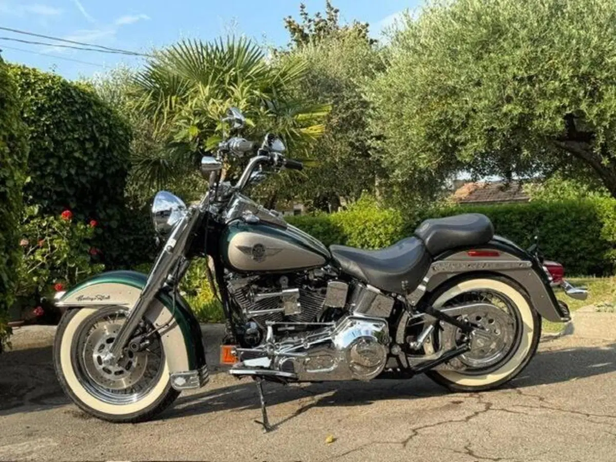 Harley-Davidson 1340 Heritage Special (1993 - 96) (19)