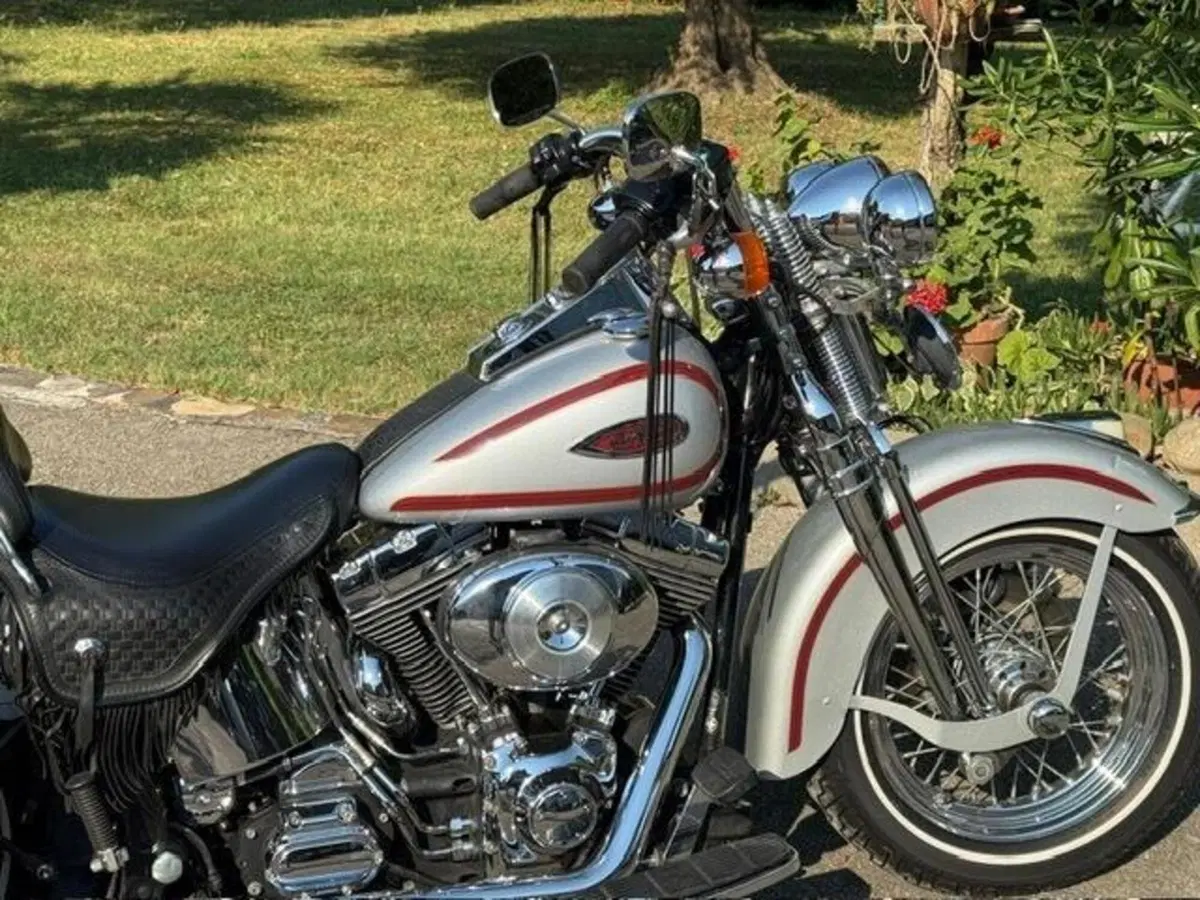 Harley-Davidson 1450 Heritage Springer (2000 - 03) - FLSTS (2)