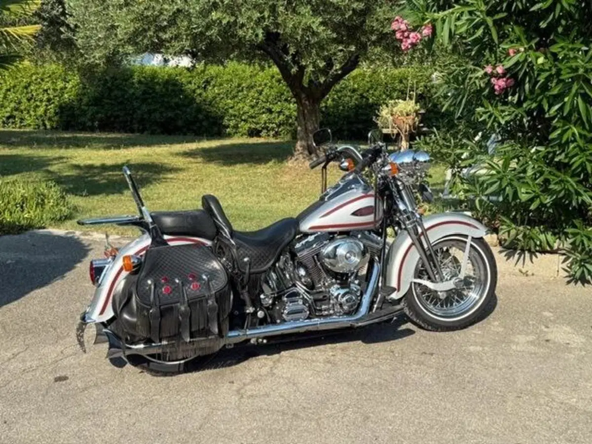 Harley-Davidson 1450 Heritage Springer (2000 - 03) - FLSTS (4)
