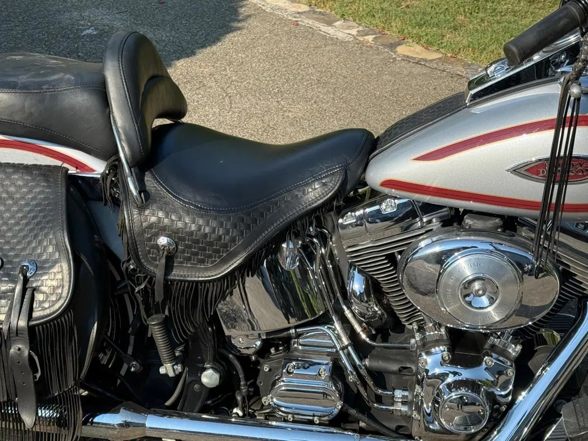 Harley-Davidson 1450 Heritage Springer (2000 - 03) - FLSTS (5)