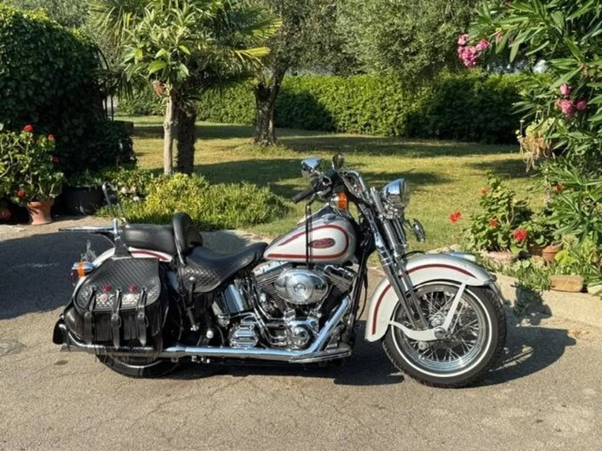 Harley-Davidson 1450 Heritage Springer (2000 - 03) - FLSTS (7)