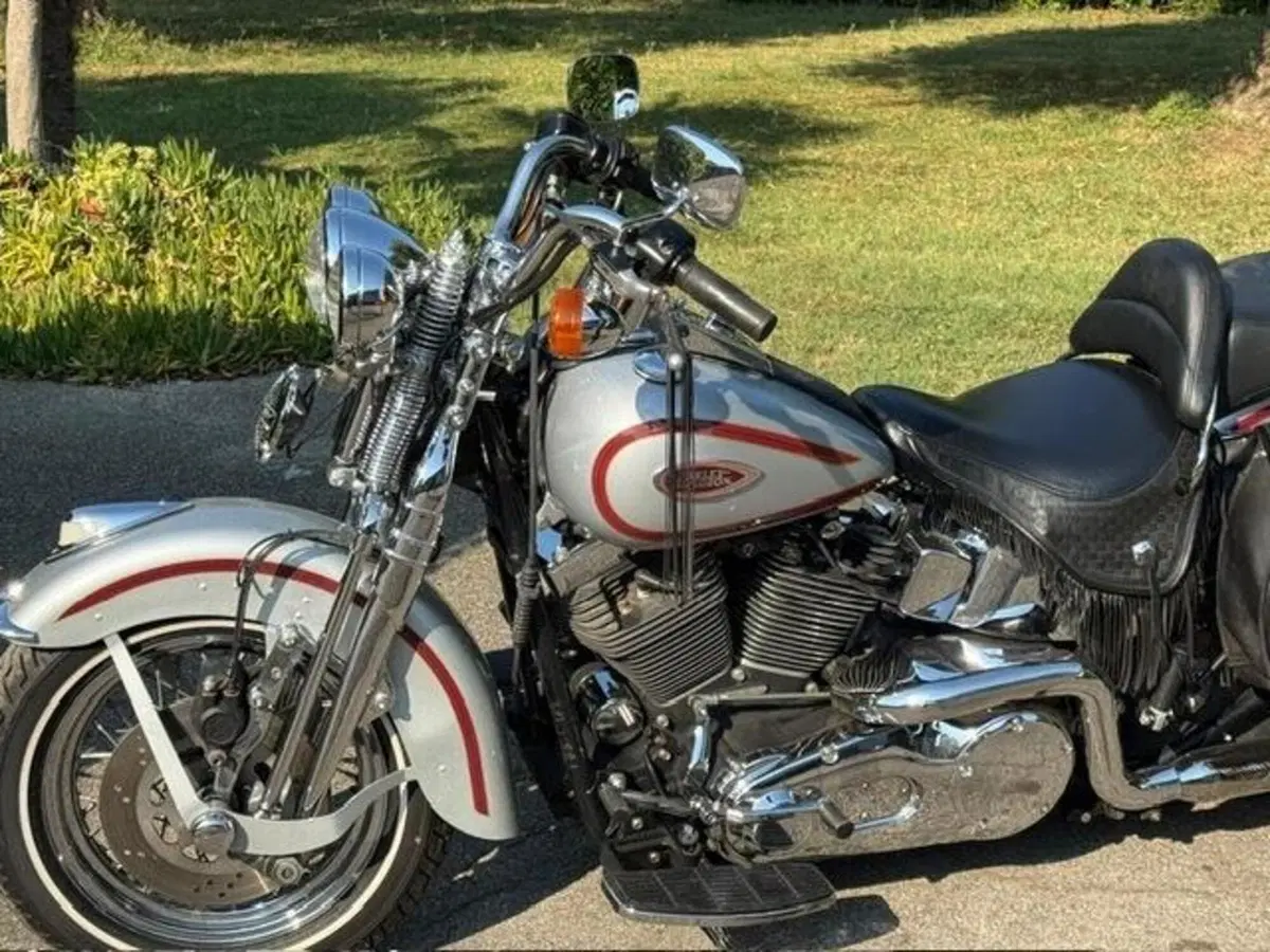 Harley-Davidson 1450 Heritage Springer (2000 - 03) - FLSTS (8)