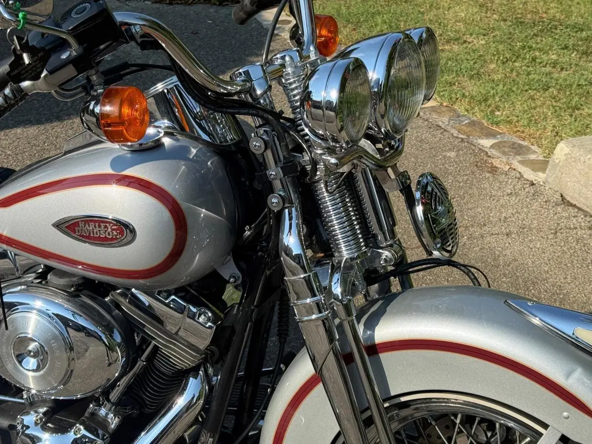 Harley-Davidson 1450 Heritage Springer (2000 - 03) - FLSTS (9)