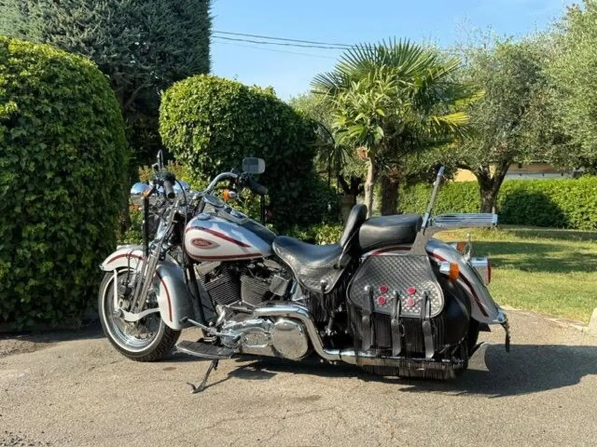 Harley-Davidson 1450 Heritage Springer (2000 - 03) - FLSTS (10)