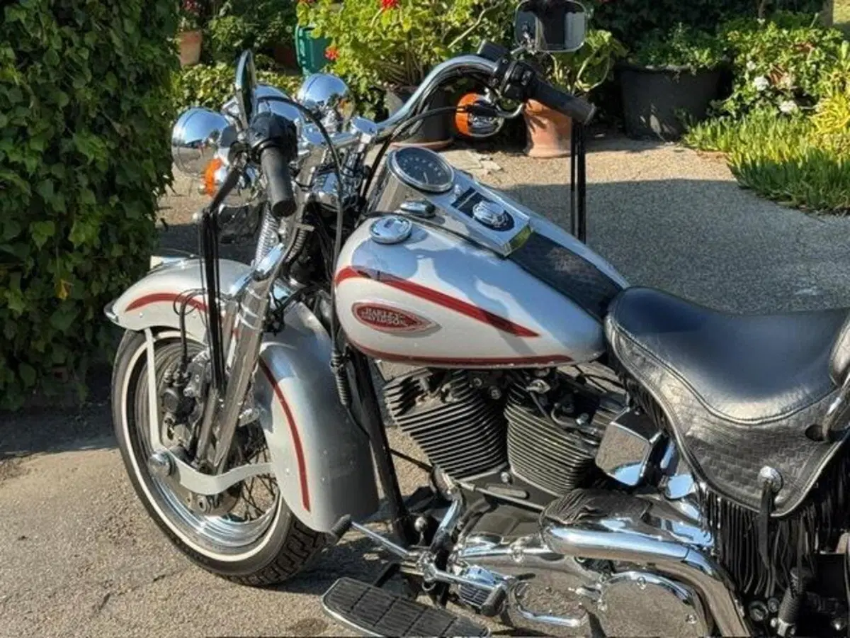 Harley-Davidson 1450 Heritage Springer (2000 - 03) - FLSTS (11)