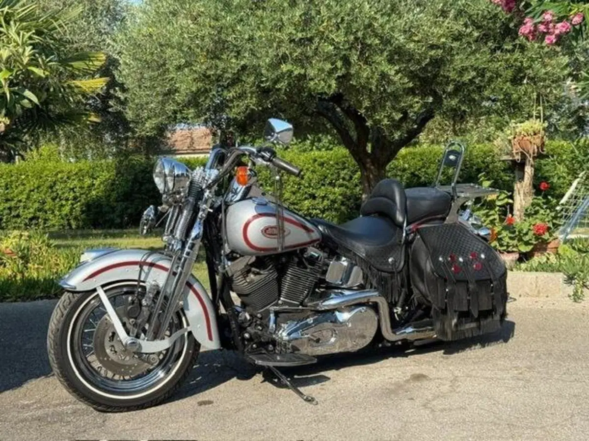 Harley-Davidson 1450 Heritage Springer (2000 - 03) - FLSTS (13)