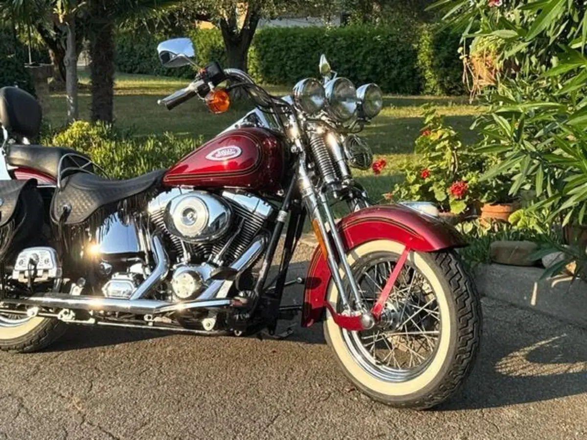 Harley-Davidson 1450 Heritage Springer (2000 - 03) - FLSTS (2)