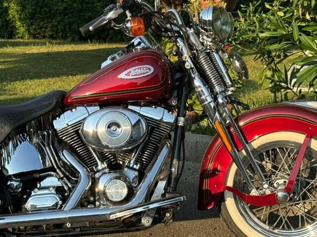 Harley-Davidson 1450 Heritage Springer (2000 - 03) - FLSTS (3)