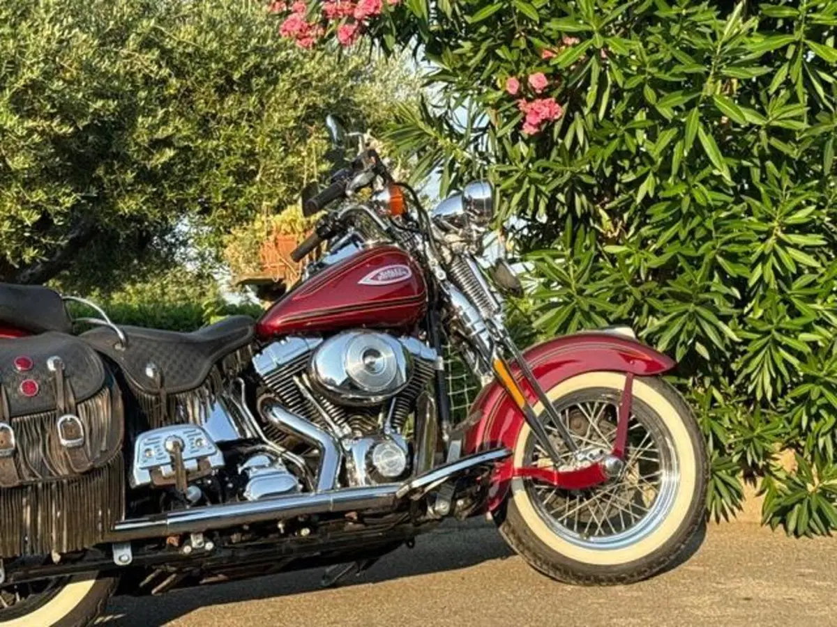 Harley-Davidson 1450 Heritage Springer (2000 - 03) - FLSTS (4)