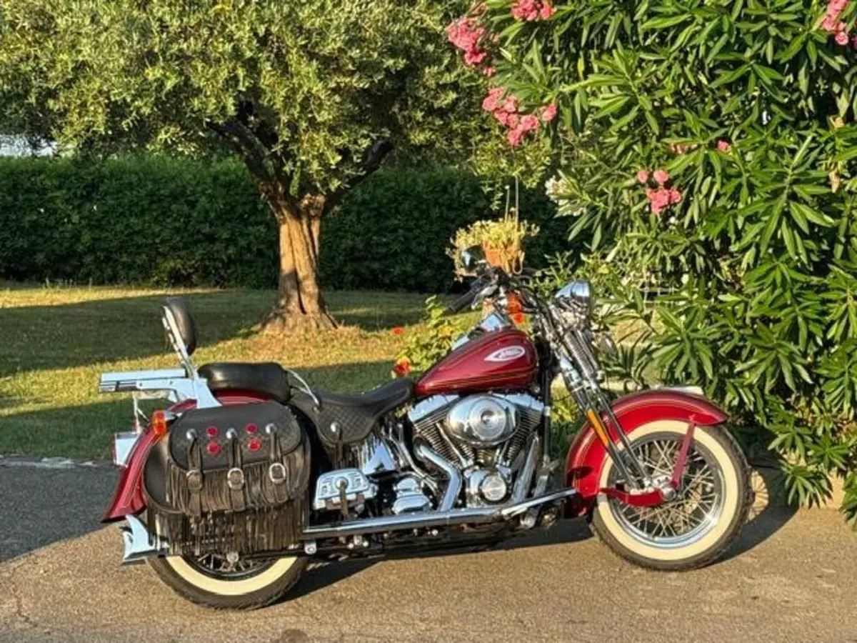 Harley-Davidson 1450 Heritage Springer (2000 - 03) - FLSTS (5)