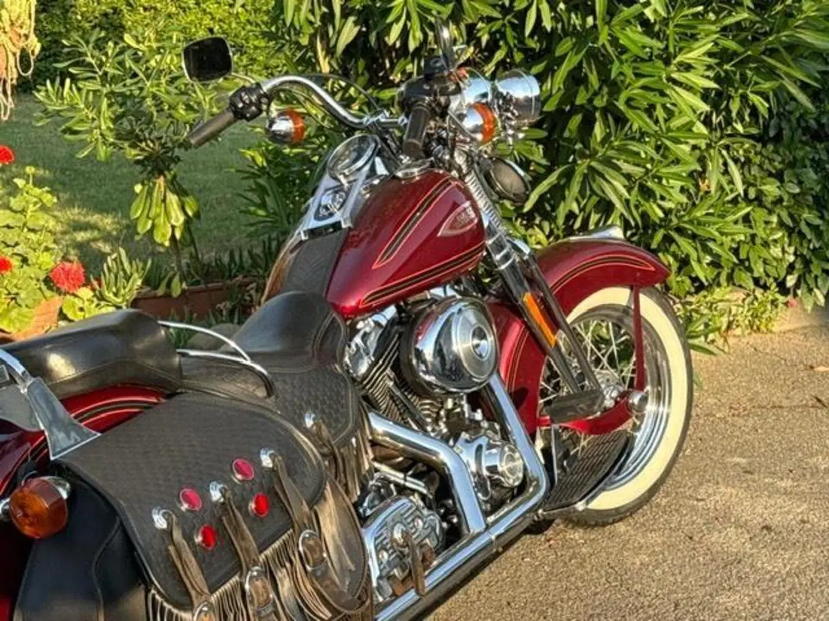 Harley-Davidson 1450 Heritage Springer (2000 - 03) - FLSTS (6)