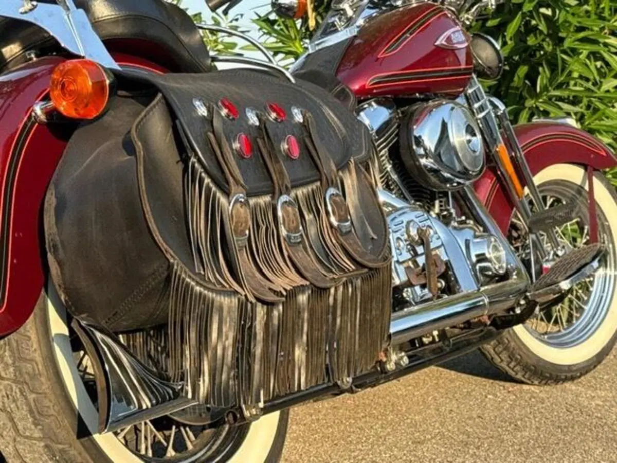 Harley-Davidson 1450 Heritage Springer (2000 - 03) - FLSTS (7)