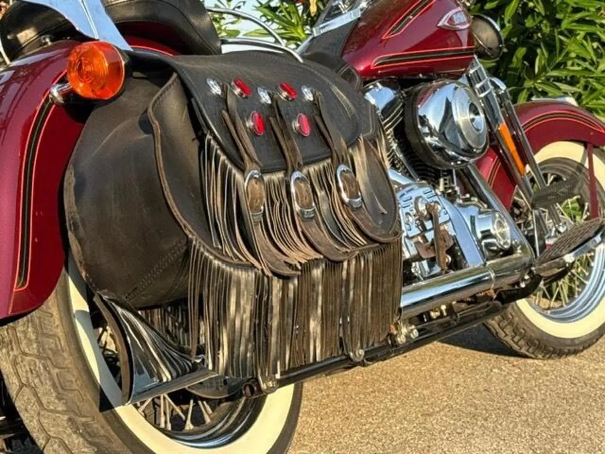 Harley-Davidson 1450 Heritage Springer (2000 - 03) - FLSTS (8)