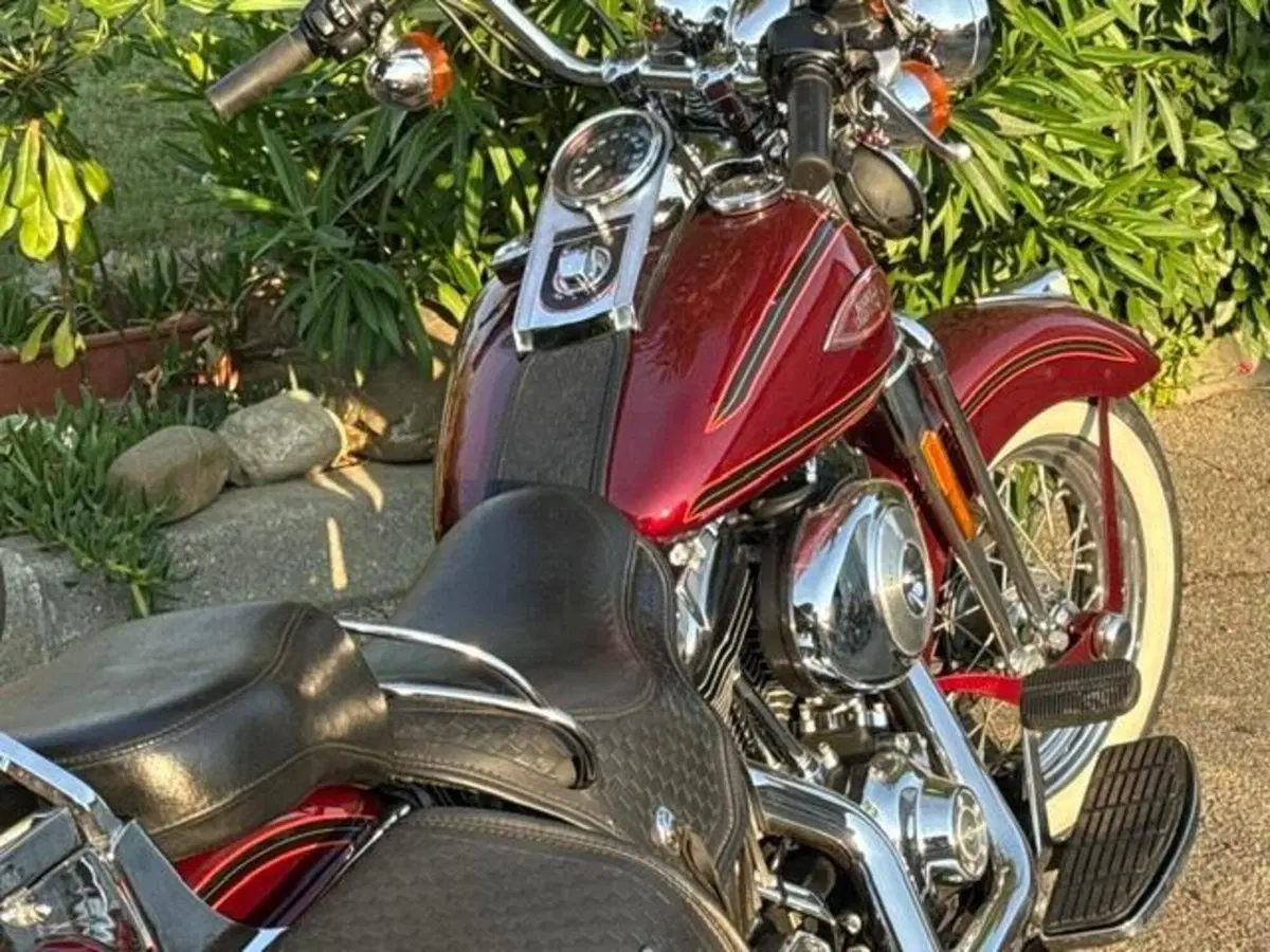 Harley-Davidson 1450 Heritage Springer (2000 - 03) - FLSTS (9)